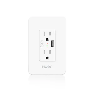 Wifi Smart Wall Power Outlet